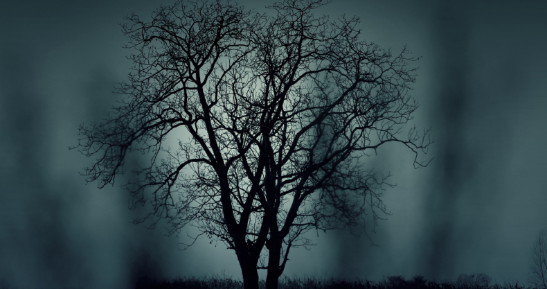 暗闇、木