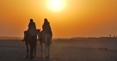 ラクダ、夕日、沙漠