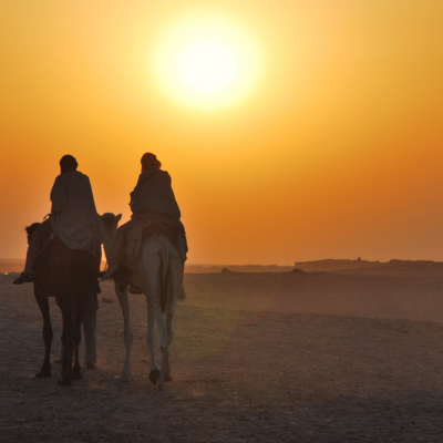 ラクダ、夕日、沙漠